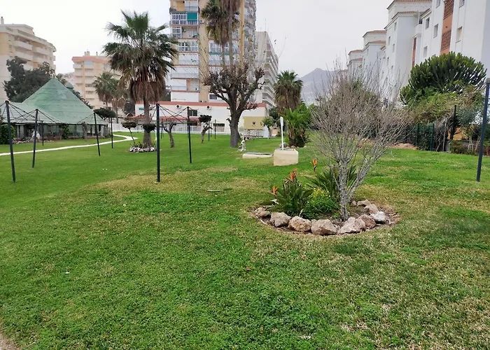 ,apartamento-estudio Primera Linea De Playa