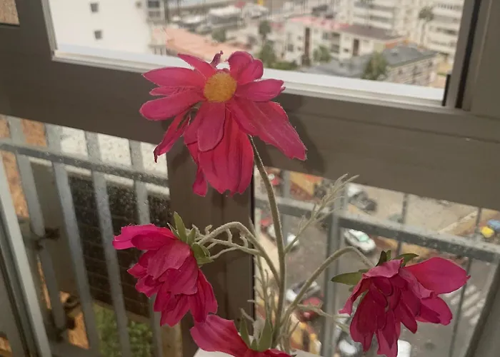 Bed & Breakfast ,apartamento-estudio Primera Linea De Playa Benalmádena