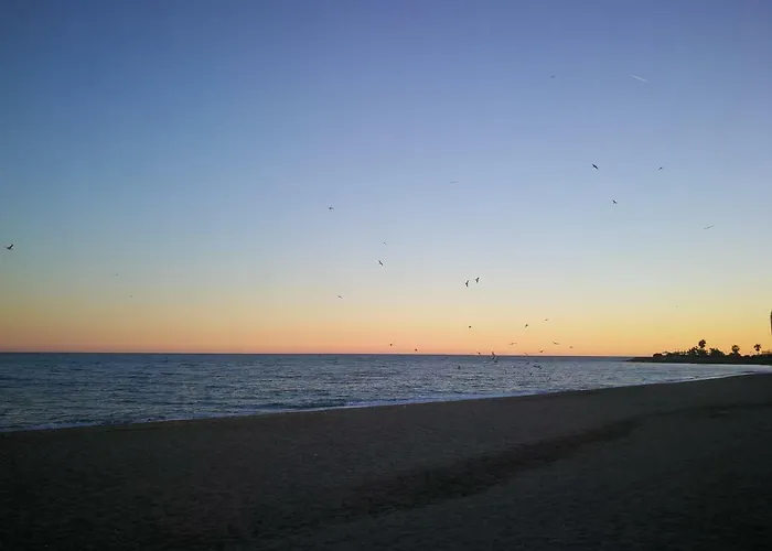 Bed & Breakfast ,apartamento-estudio Primera Linea De Playa 3*